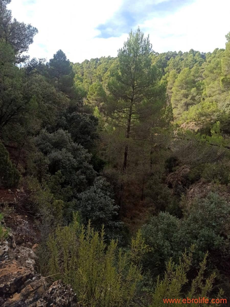 1 soverom Finca/Herregård til salgs i Fornoles - € 110 000 (Ref: 7842927)