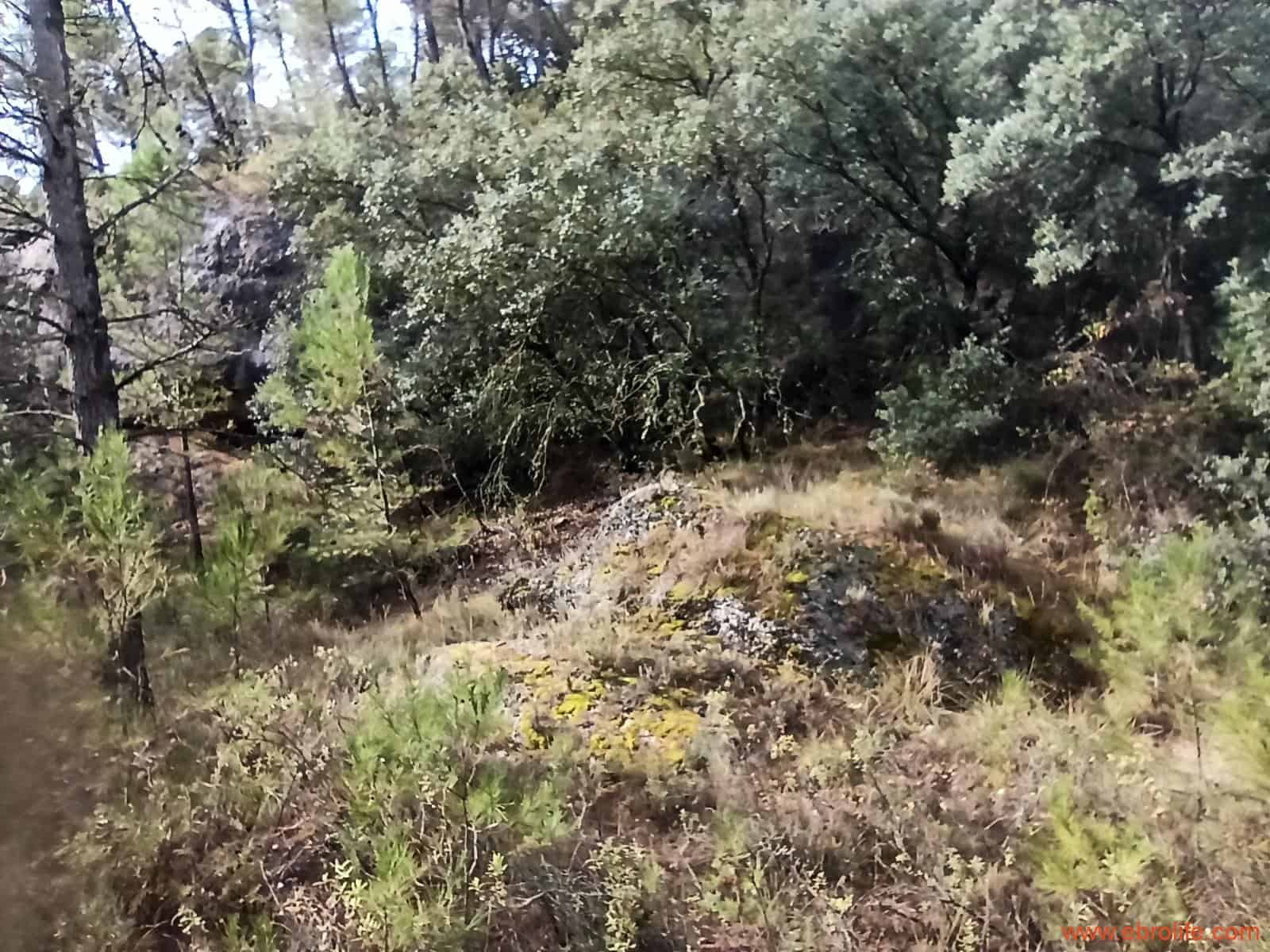 1 soverom Finca/Herregård til salgs i Fornoles - € 110 000 (Ref: 7842927)