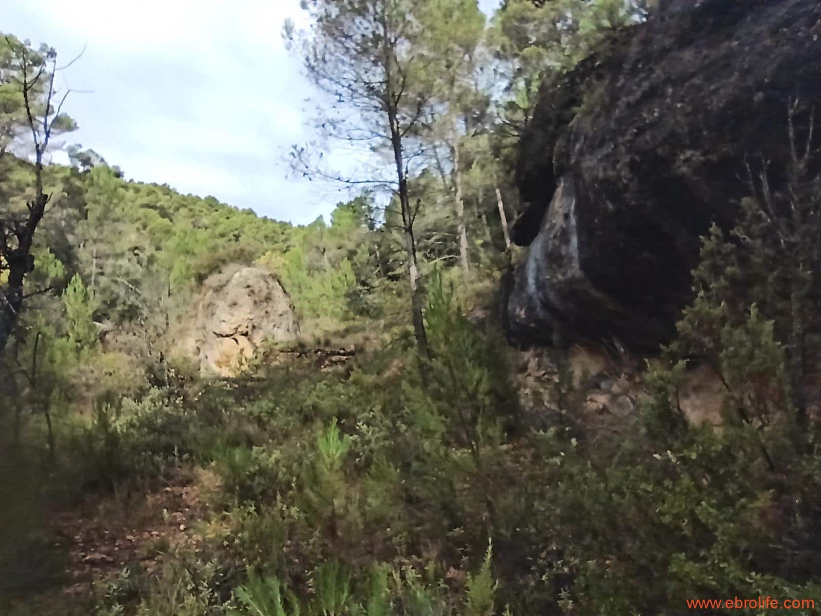 1 soverom Finca/Herregård til salgs i Fornoles - € 110 000 (Ref: 7842927)