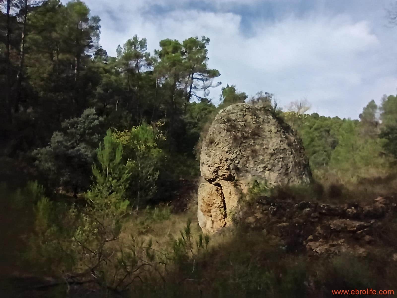 1 soverom Finca/Herregård til salgs i Fornoles - € 110 000 (Ref: 7842927)