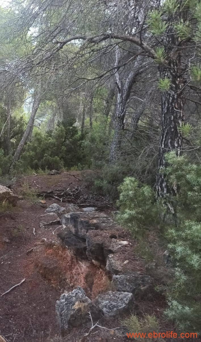 1 soverom Finca/Herregård til salgs i Fornoles - € 110 000 (Ref: 7842927)