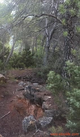 1 bedroom Finca/Country House for sale in Fórnoles - € 110,000 (Ref: 7842927)