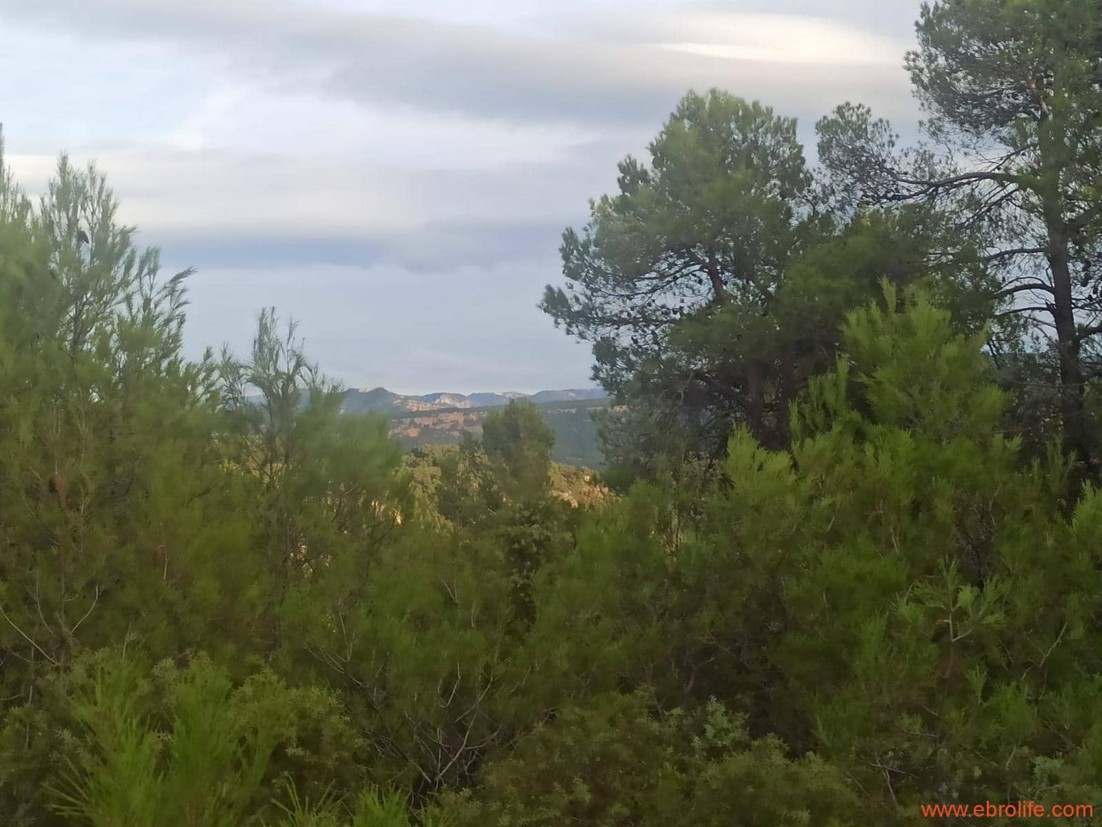 1 soverom Finca/Herregård til salgs i Fornoles - € 110 000 (Ref: 7842927)