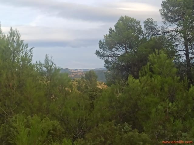 1 bedroom Finca/Country House for sale in Fórnoles - € 110,000 (Ref: 7842927)