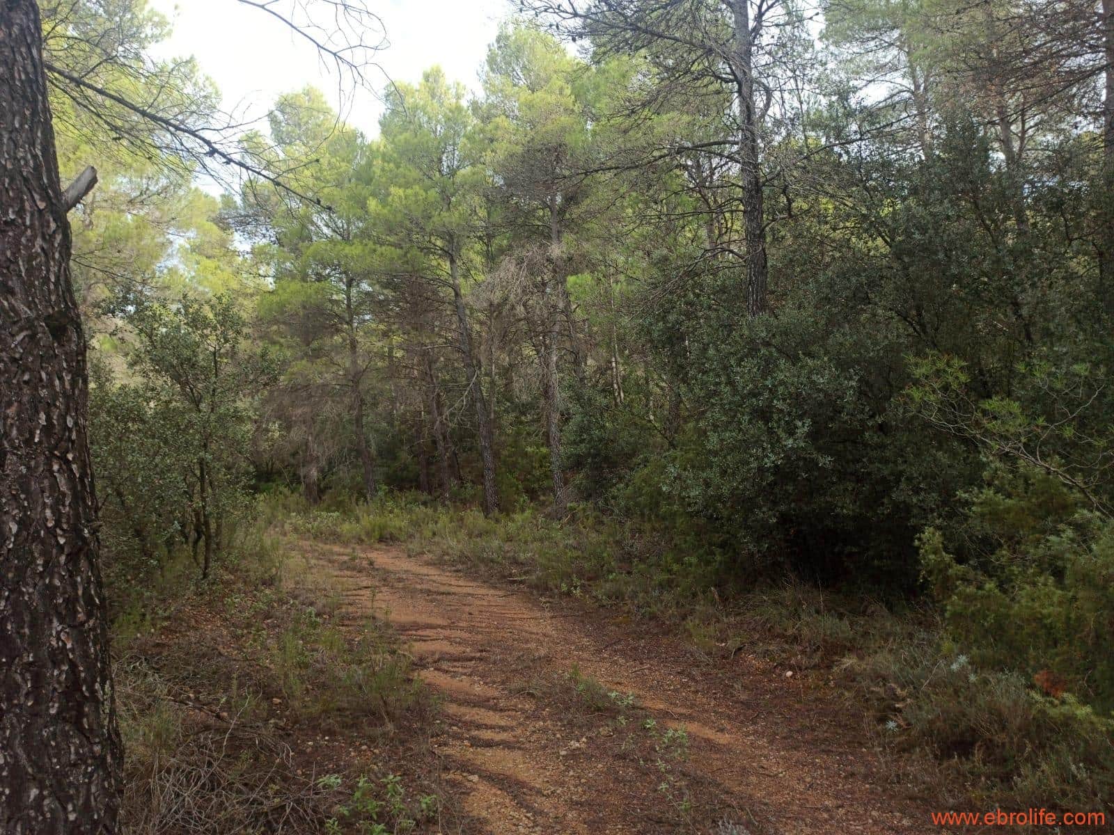 1 soverom Finca/Herregård til salgs i Fornoles - € 110 000 (Ref: 7842927)