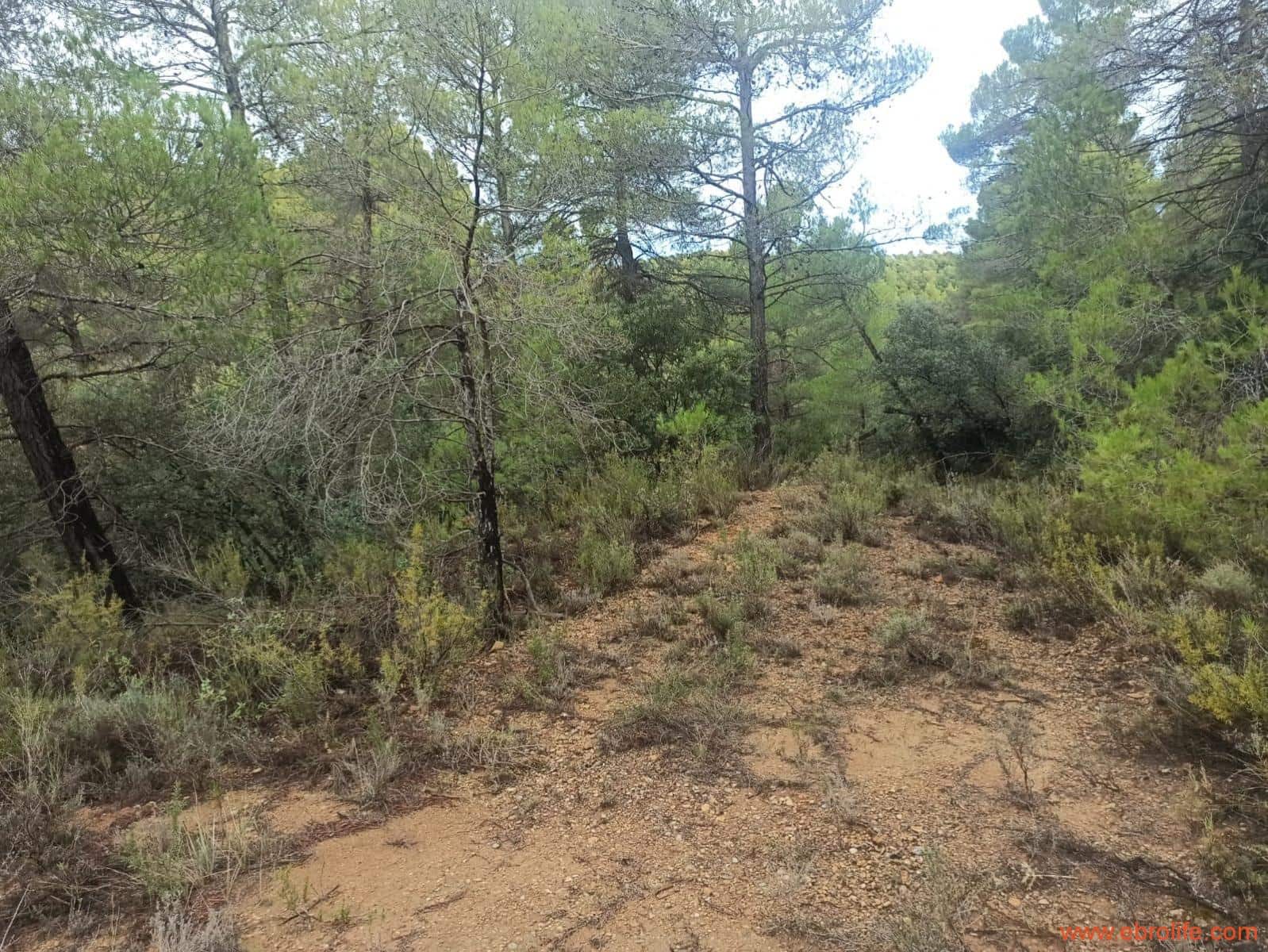 1 soverom Finca/Herregård til salgs i Fornoles - € 110 000 (Ref: 7842927)