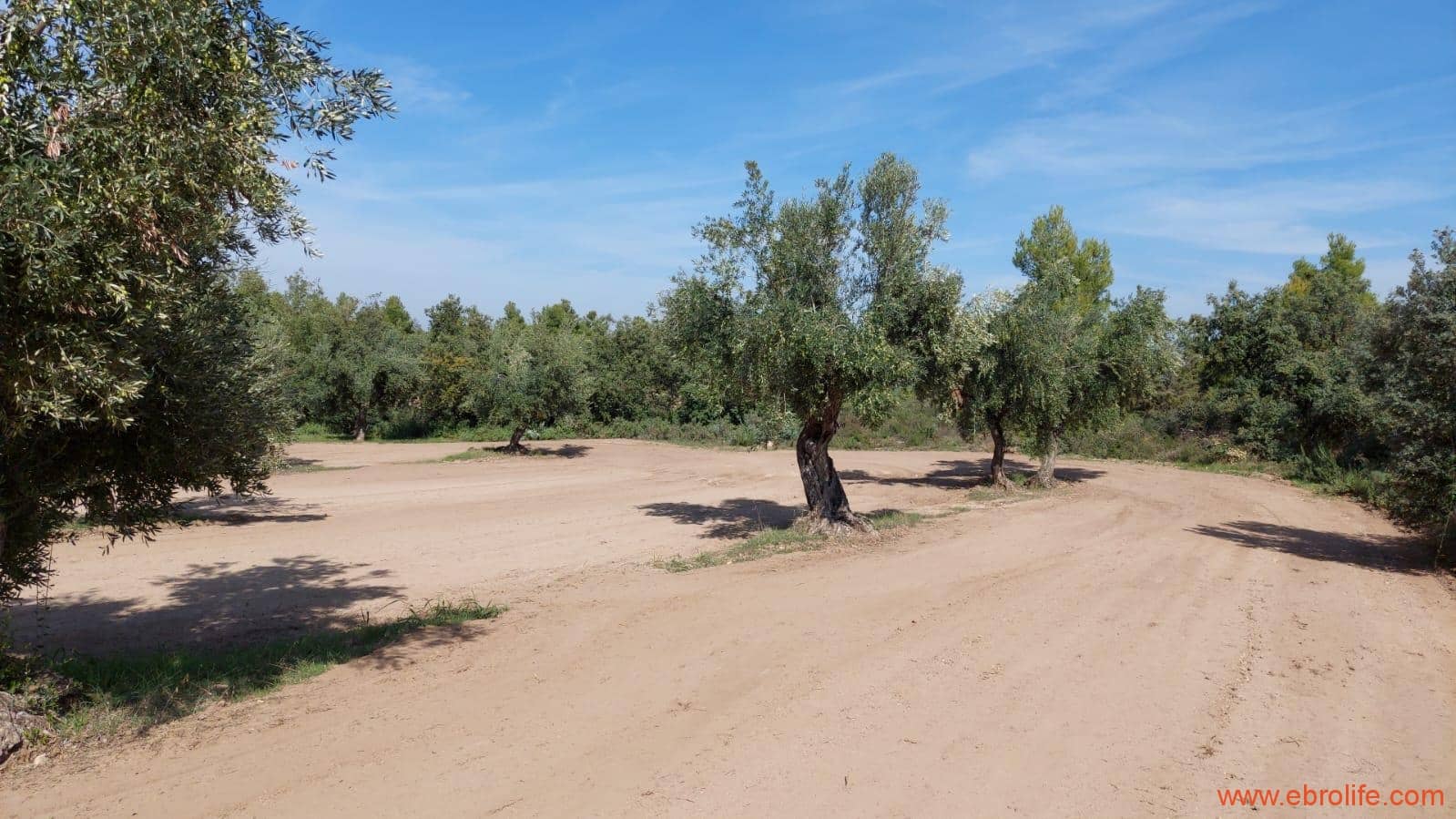 1 soveværelse Finca/Landehus til salg i Cretas - € 78.000 (Ref: 7842929)