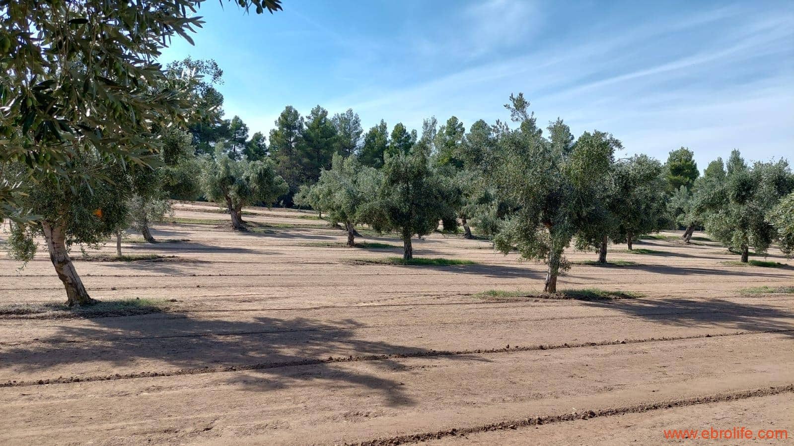 1 soveværelse Finca/Landehus til salg i Cretas - € 78.000 (Ref: 7842929)