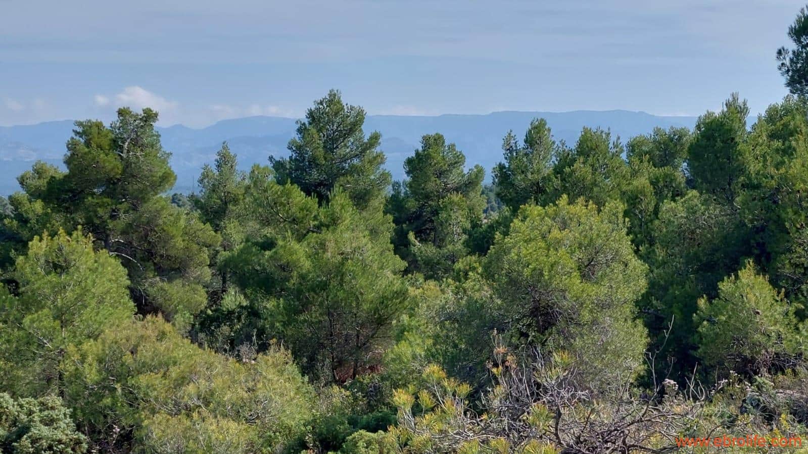 1 soveværelse Finca/Landehus til salg i Cretas - € 78.000 (Ref: 7842929)