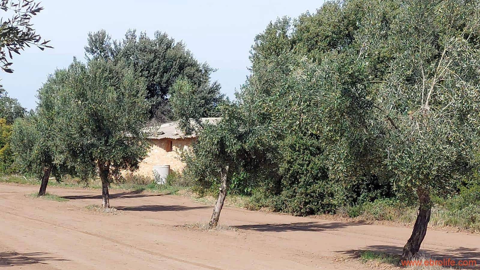 1 soveværelse Finca/Landehus til salg i Cretas - € 78.000 (Ref: 7842929)