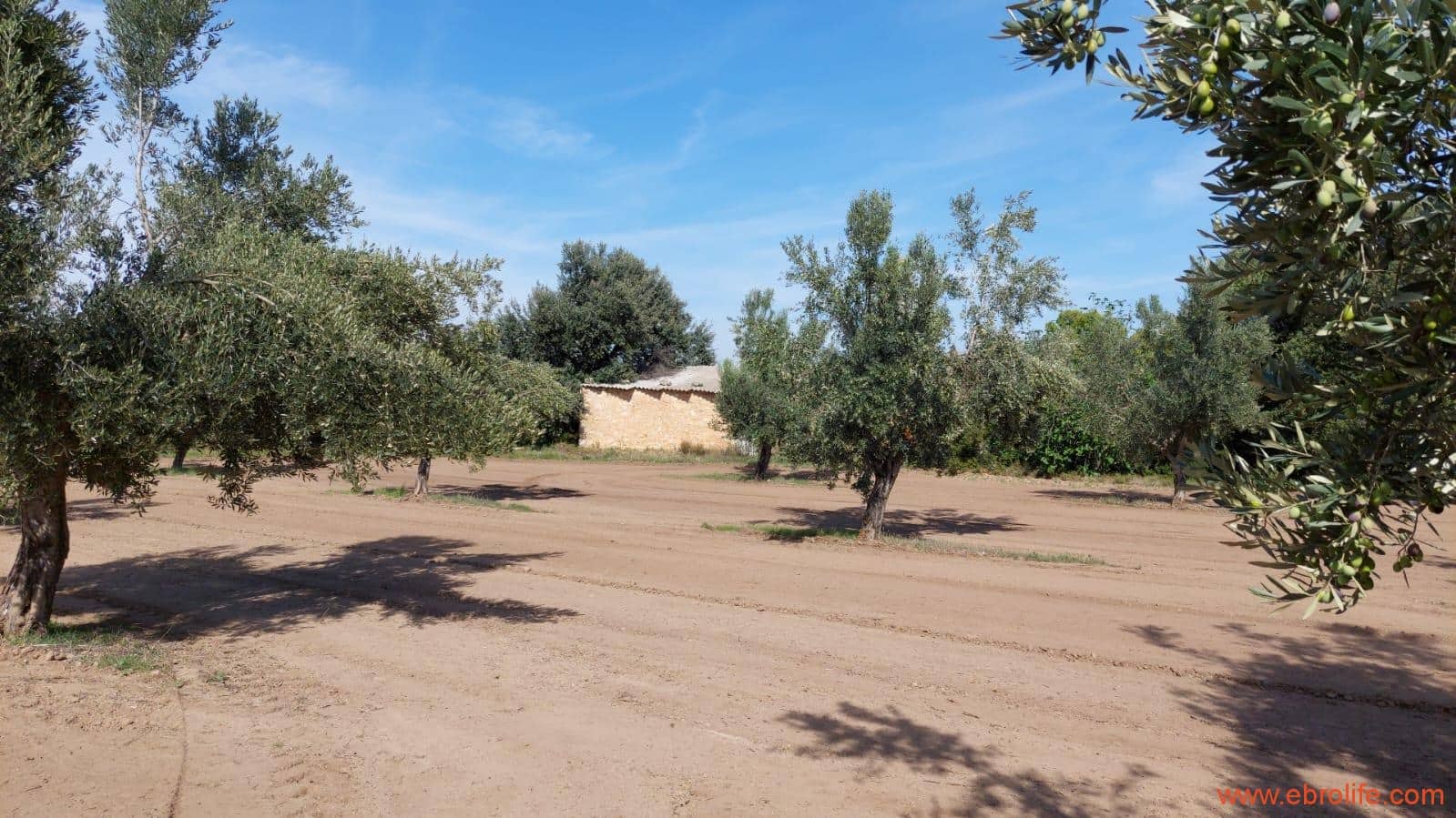 1 soveværelse Finca/Landehus til salg i Cretas - € 78.000 (Ref: 7842929)