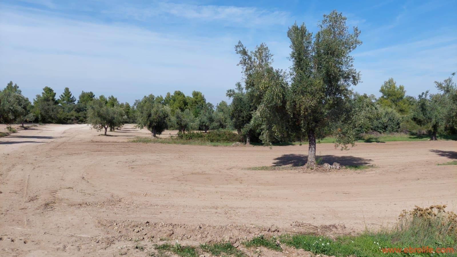 1 soveværelse Finca/Landehus til salg i Cretas - € 78.000 (Ref: 7842929)