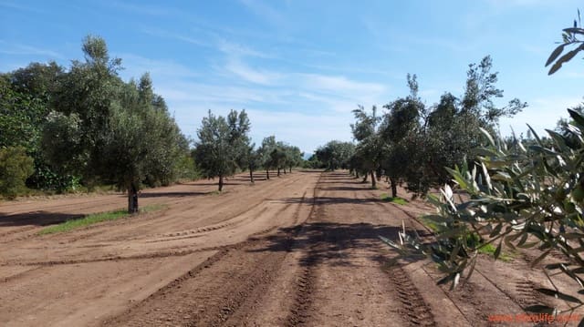 1 soveværelse Finca/Landehus til salg i Cretas - € 78.000 (Ref: 7842929)