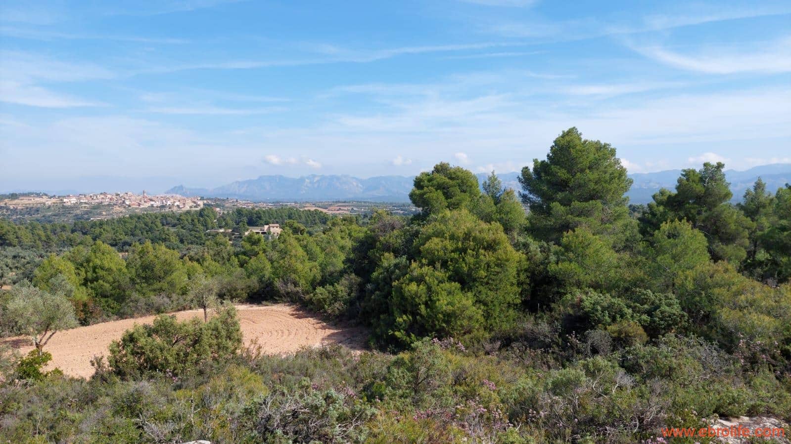 1 soveværelse Finca/Landehus til salg i Cretas - € 78.000 (Ref: 7842929)