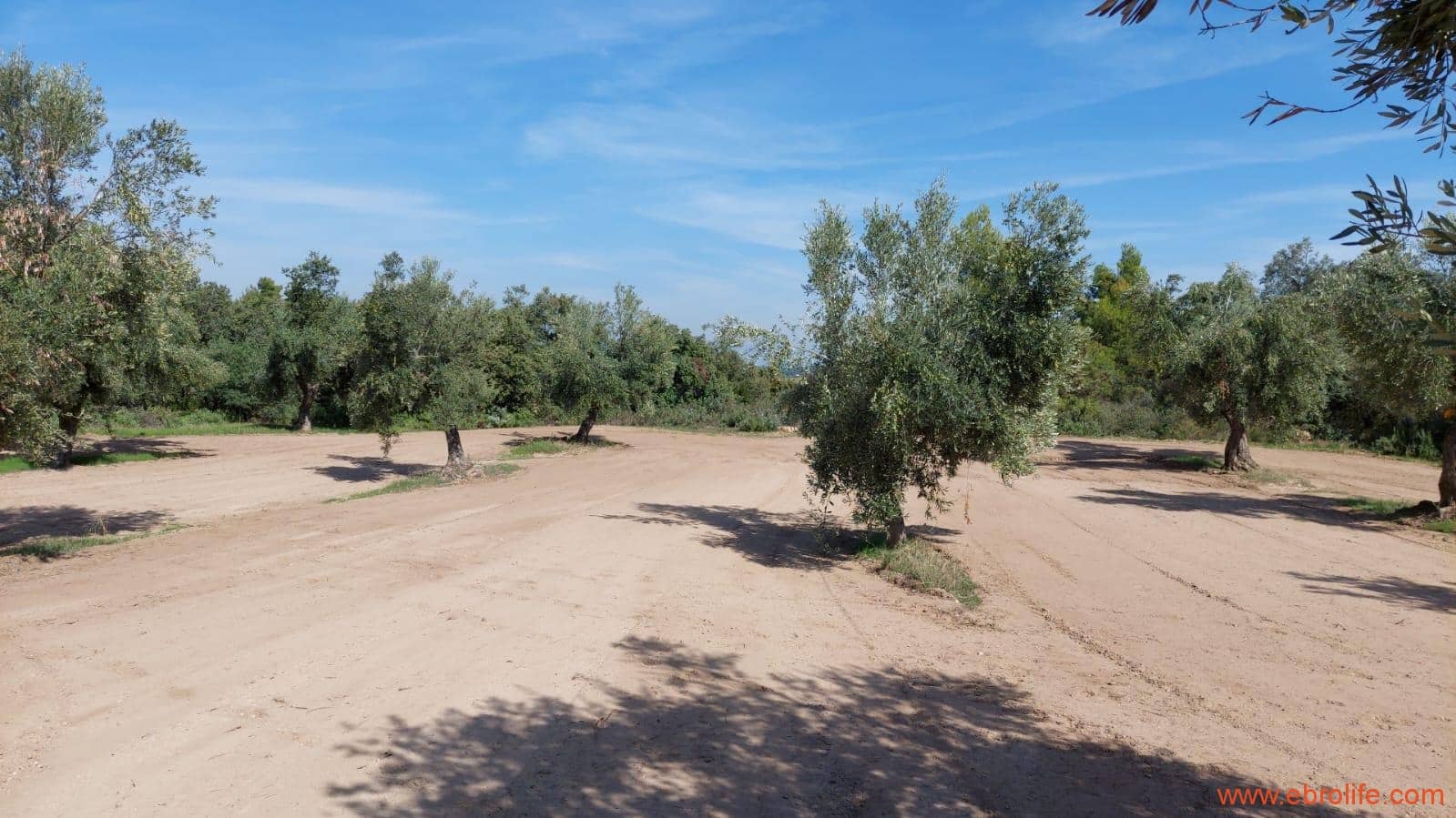 1 soveværelse Finca/Landehus til salg i Cretas - € 78.000 (Ref: 7842929)