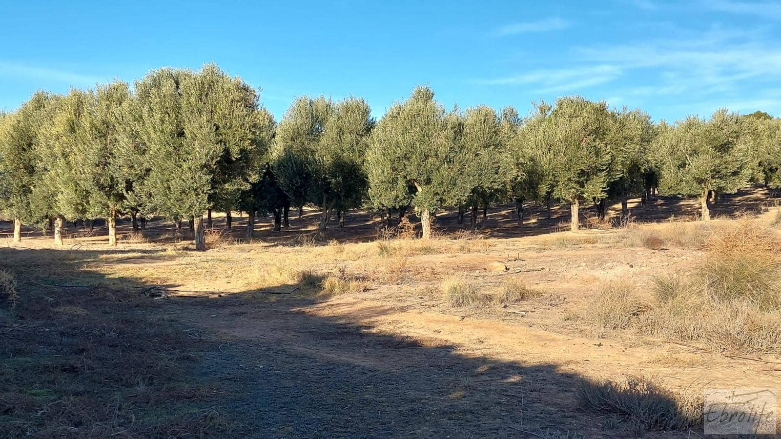 1 soverom Finca/Herregård til salgs i Caspe - € 280 000 (Ref: 7971742)