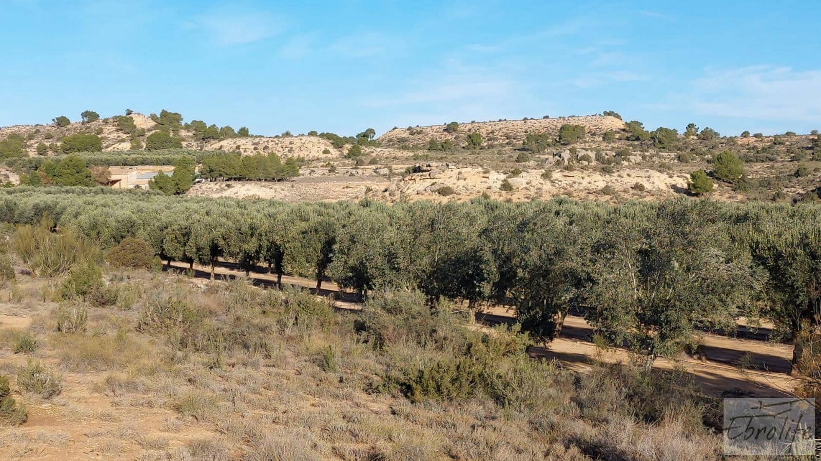 1 soverom Finca/Herregård til salgs i Caspe - € 280 000 (Ref: 7971742)