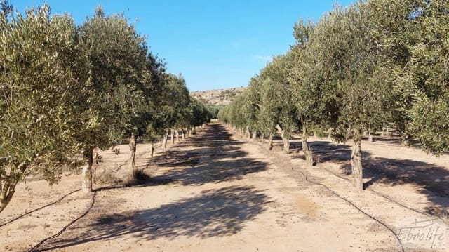 1 bedroom Finca/Country House for sale in Caspe - € 280,000 (Ref: 7971742)