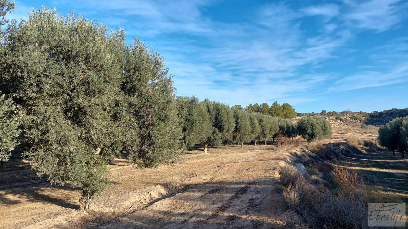 1 soverom Finca/Herregård til salgs i Caspe - € 280 000 (Ref: 7971742)