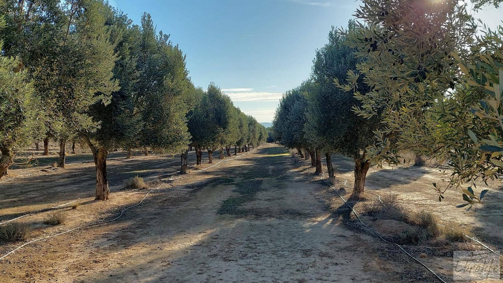 1 soverom Finca/Herregård til salgs i Caspe - € 280 000 (Ref: 7971742)