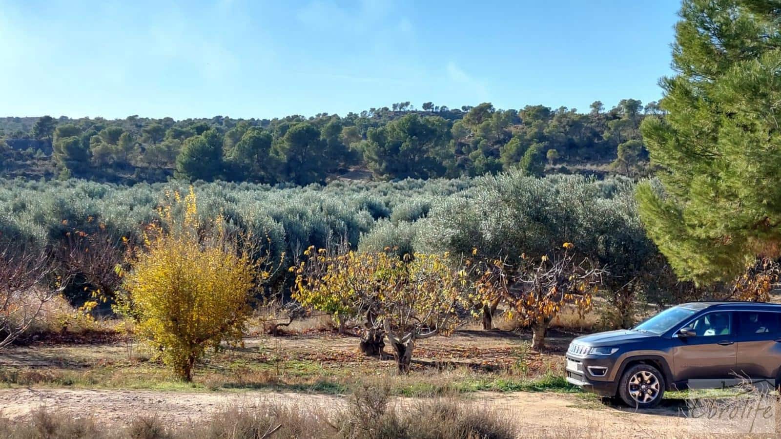 1 soverom Finca/Herregård til salgs i Caspe - € 280 000 (Ref: 7971742)