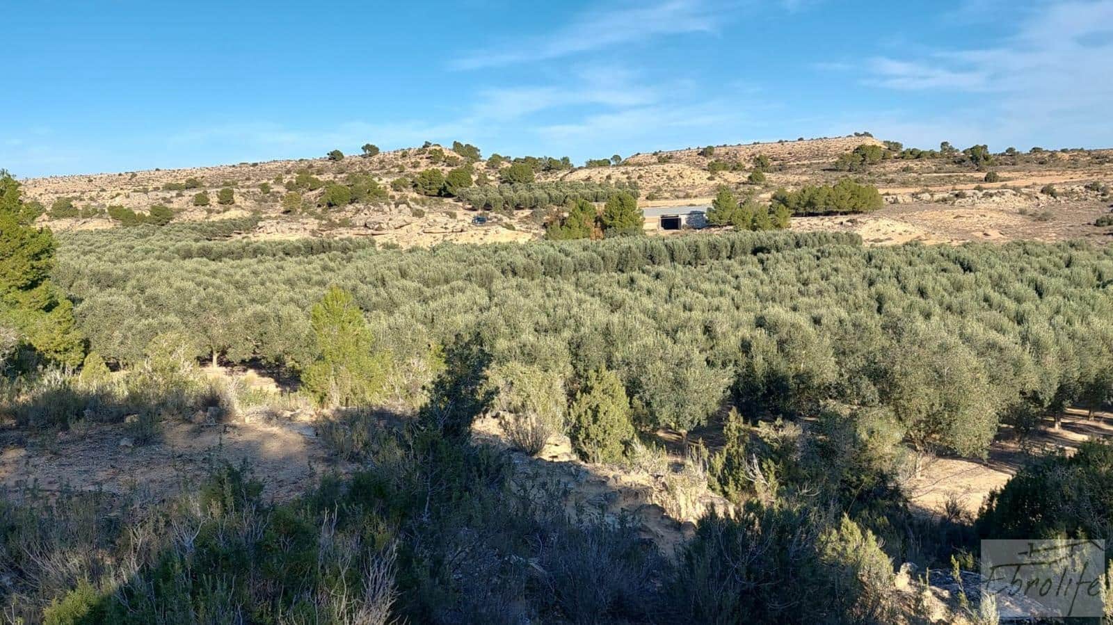 1 soverom Finca/Herregård til salgs i Caspe - € 280 000 (Ref: 7971742)