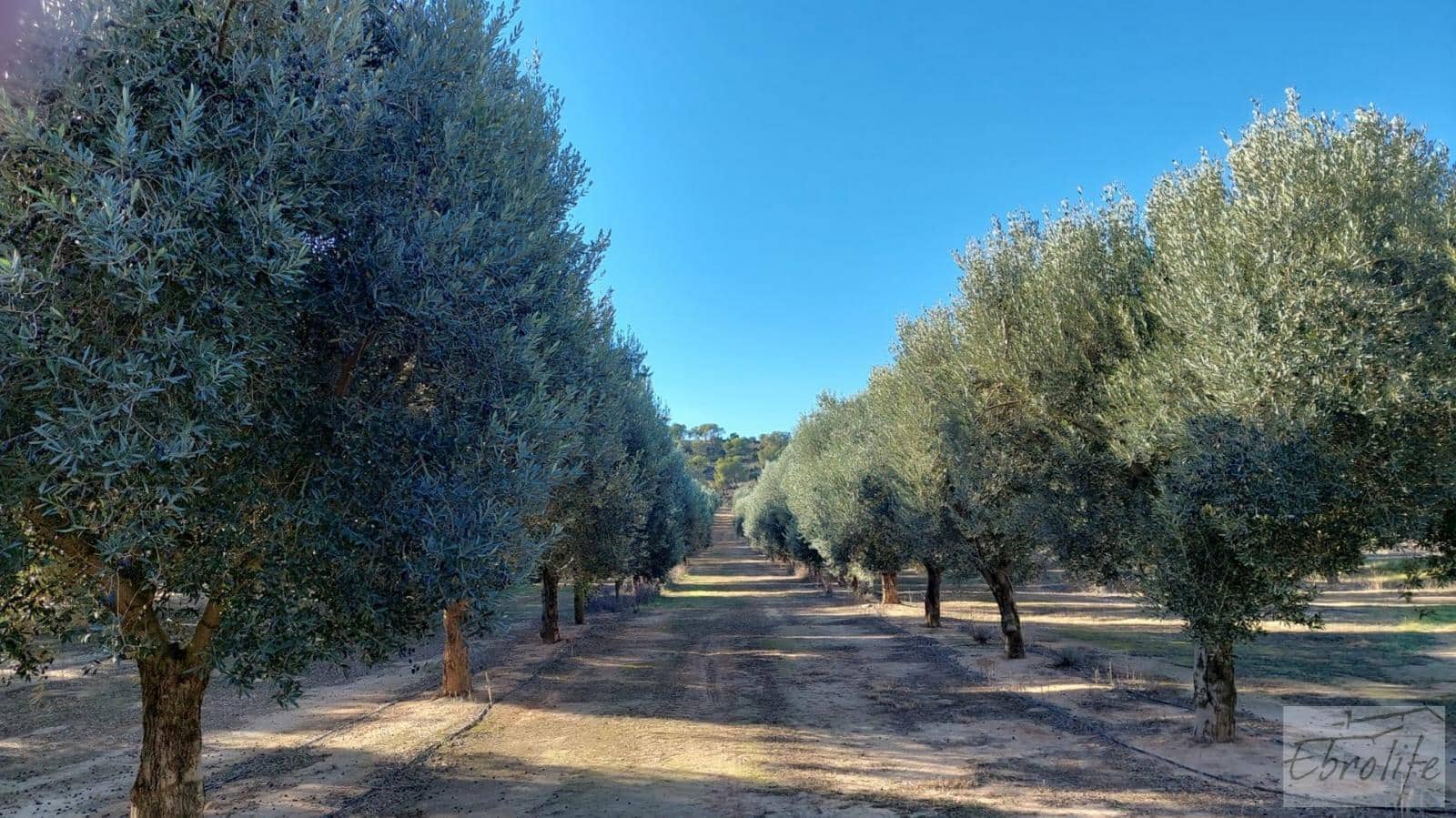 1 soverom Finca/Herregård til salgs i Caspe - € 280 000 (Ref: 7971742)