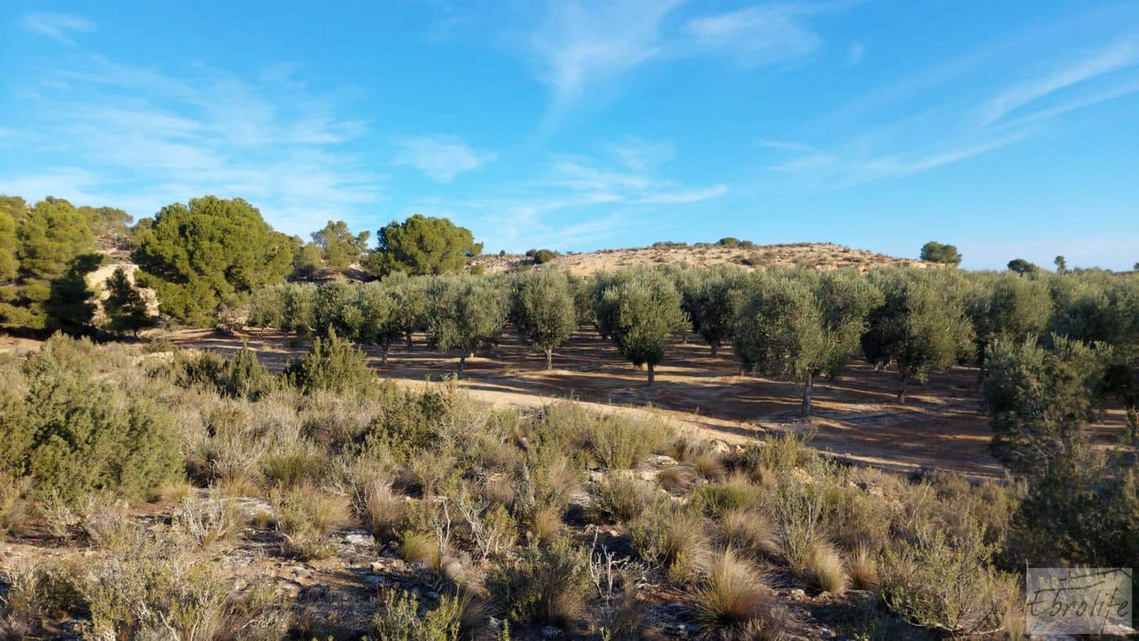 1 soverom Finca/Herregård til salgs i Caspe - € 280 000 (Ref: 7971742)