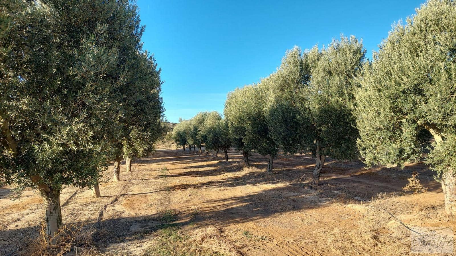 1 soverom Finca/Herregård til salgs i Caspe - € 280 000 (Ref: 7971742)