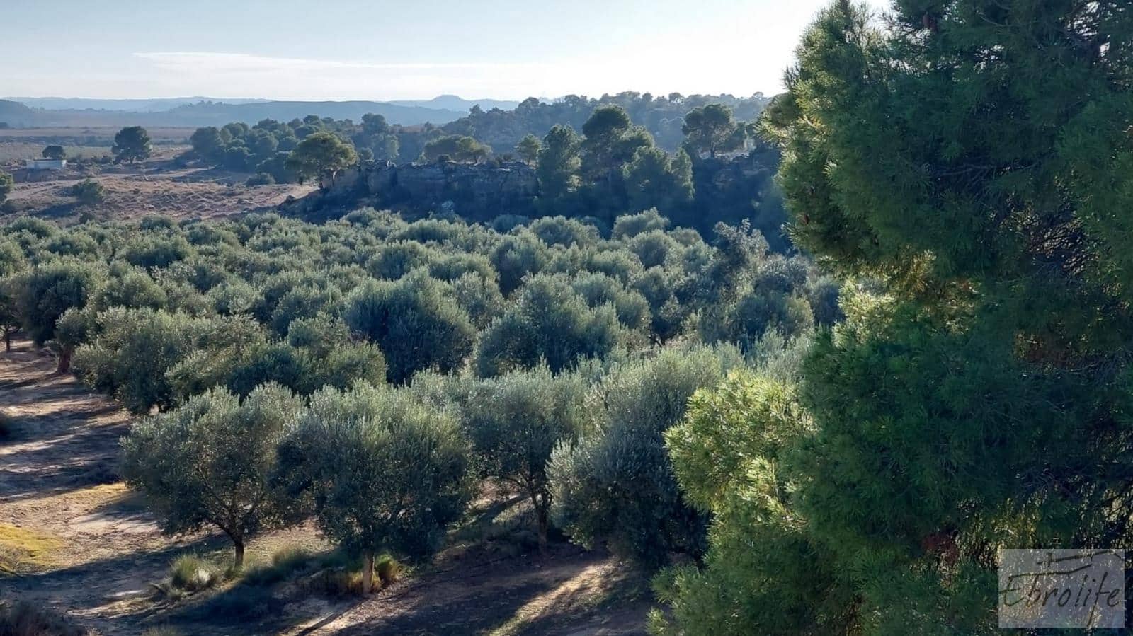 1 soverom Finca/Herregård til salgs i Caspe - € 280 000 (Ref: 7971742)