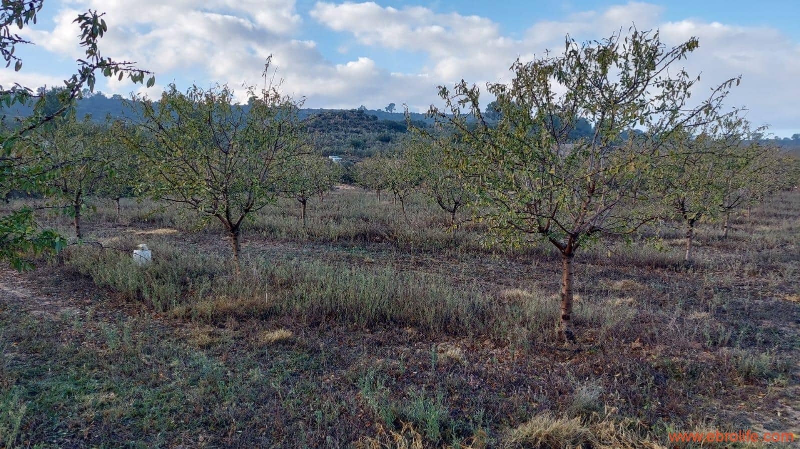 1 bedroom Finca/Country House for sale in Caspe - € 90,000 (Ref: 7973225)