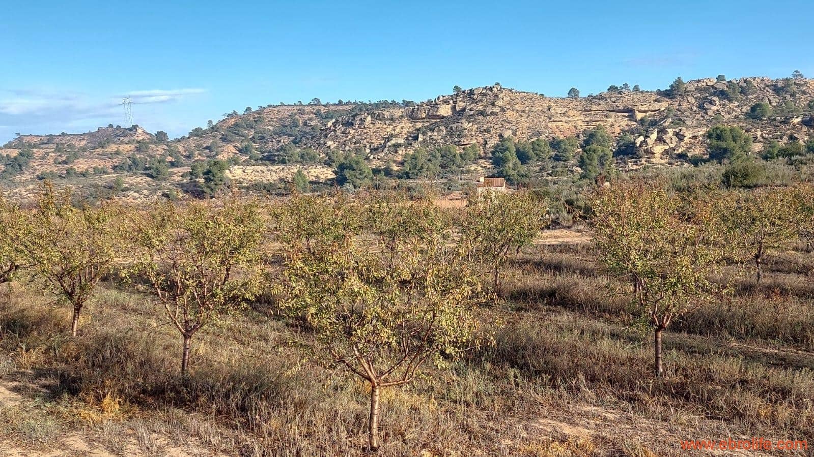 1 bedroom Finca/Country House for sale in Caspe - € 90,000 (Ref: 7973225)