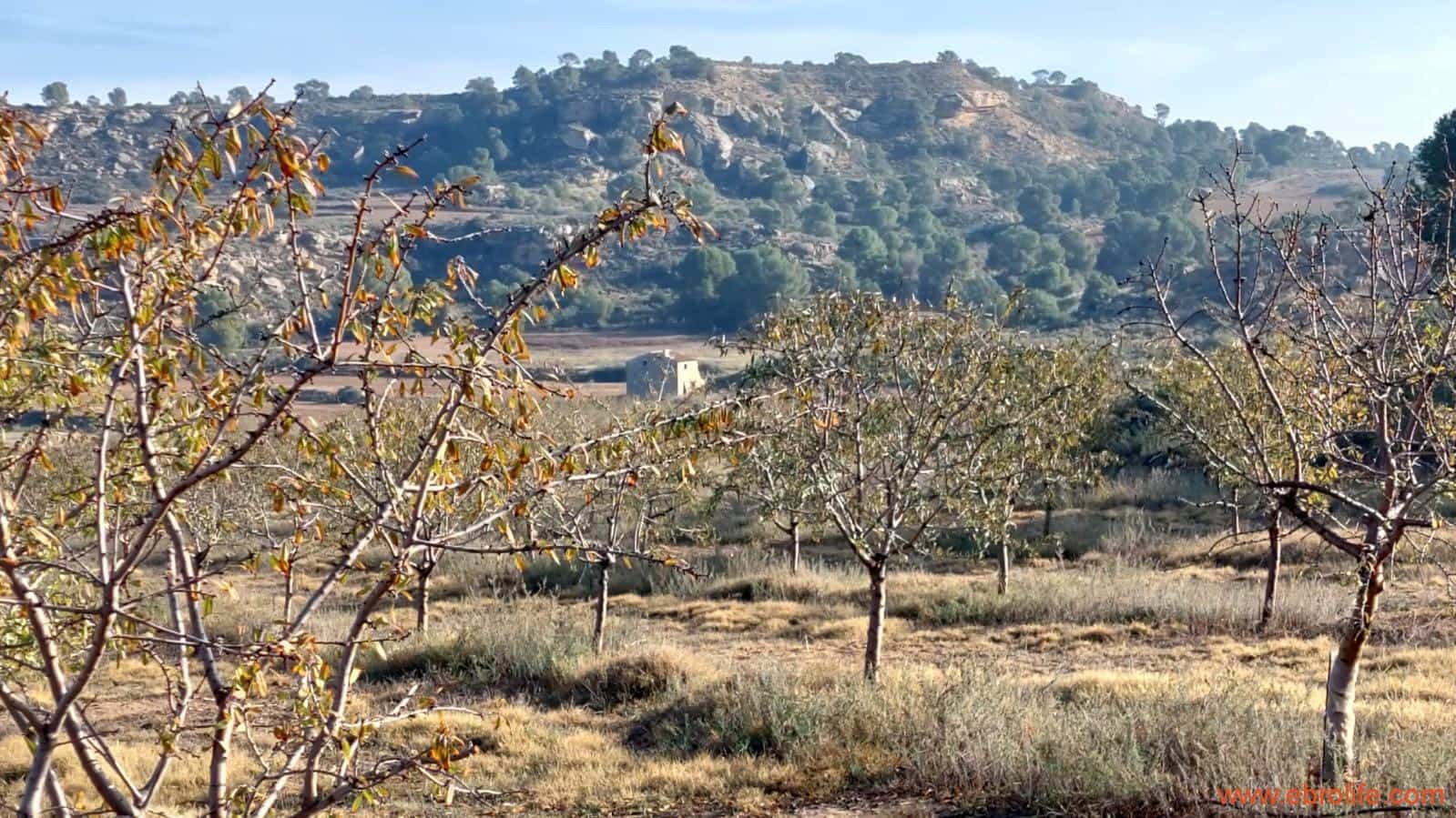 1 bedroom Finca/Country House for sale in Caspe - € 90,000 (Ref: 7973225)