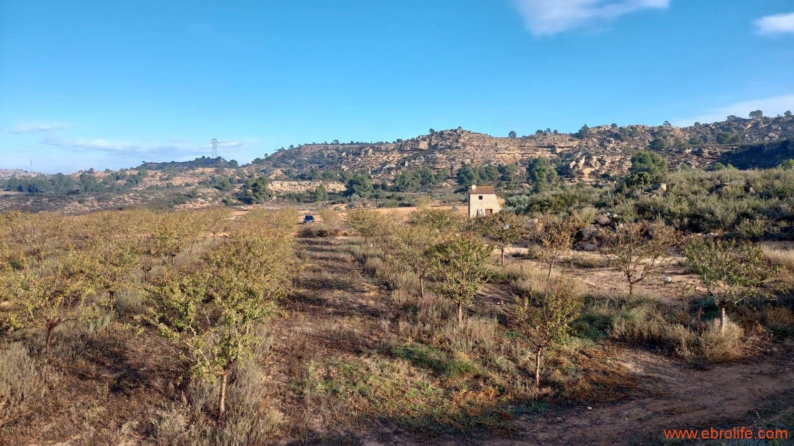 1 bedroom Finca/Country House for sale in Caspe - € 90,000 (Ref: 7973225)