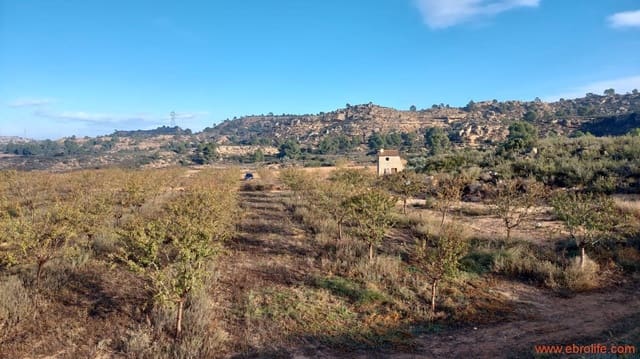 1 bedroom Finca/Country House for sale in Caspe - € 90,000 (Ref: 7973225)