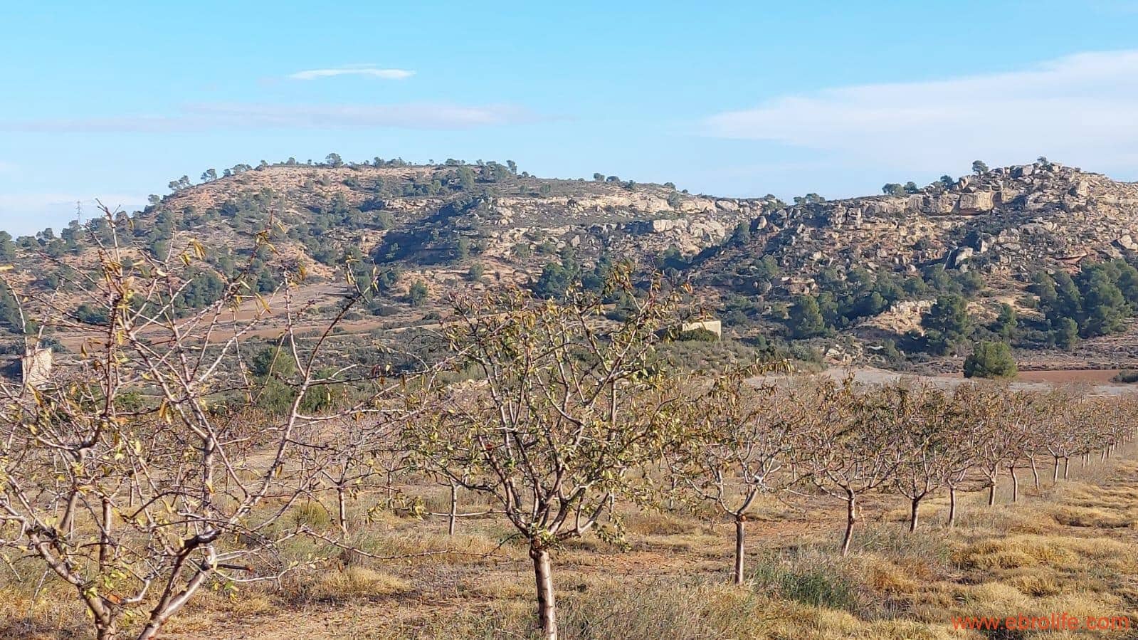 1 bedroom Finca/Country House for sale in Caspe - € 90,000 (Ref: 7973225)