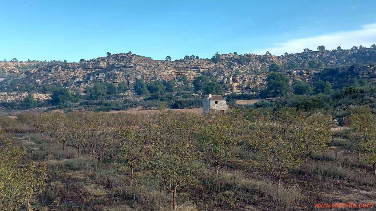 1 bedroom Finca/Country House for sale in Caspe - € 90,000 (Ref: 7973225)