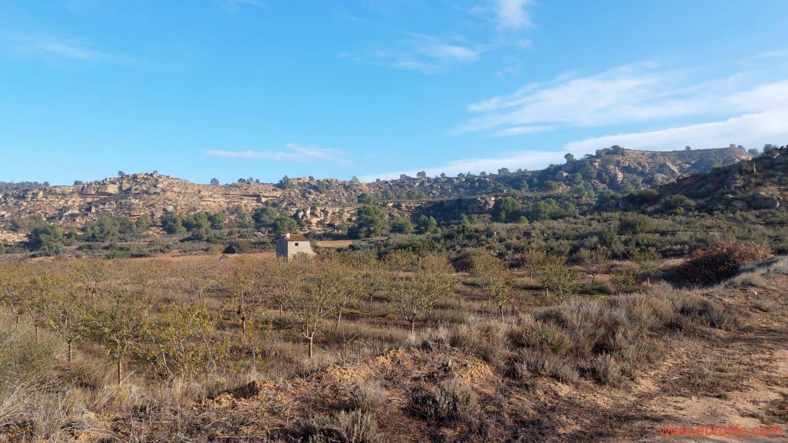 1 bedroom Finca/Country House for sale in Caspe - € 90,000 (Ref: 7973225)