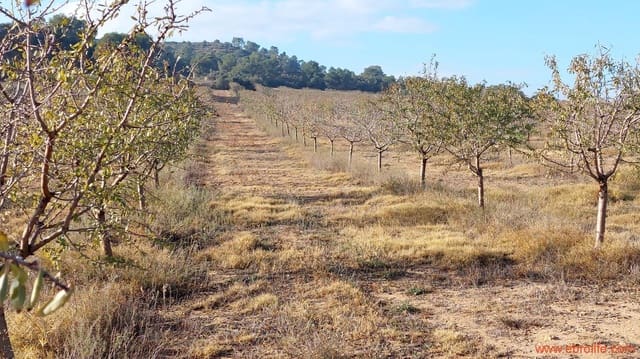 1 bedroom Finca/Country House for sale in Caspe - € 90,000 (Ref: 7973225)