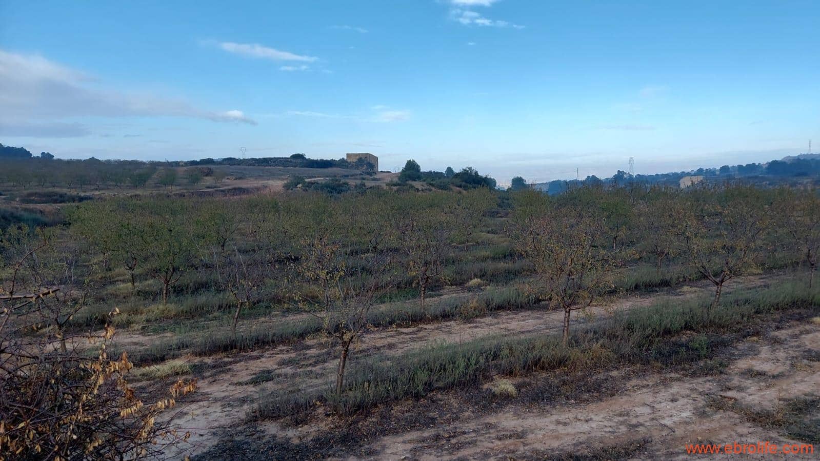 1 bedroom Finca/Country House for sale in Caspe - € 90,000 (Ref: 7973225)