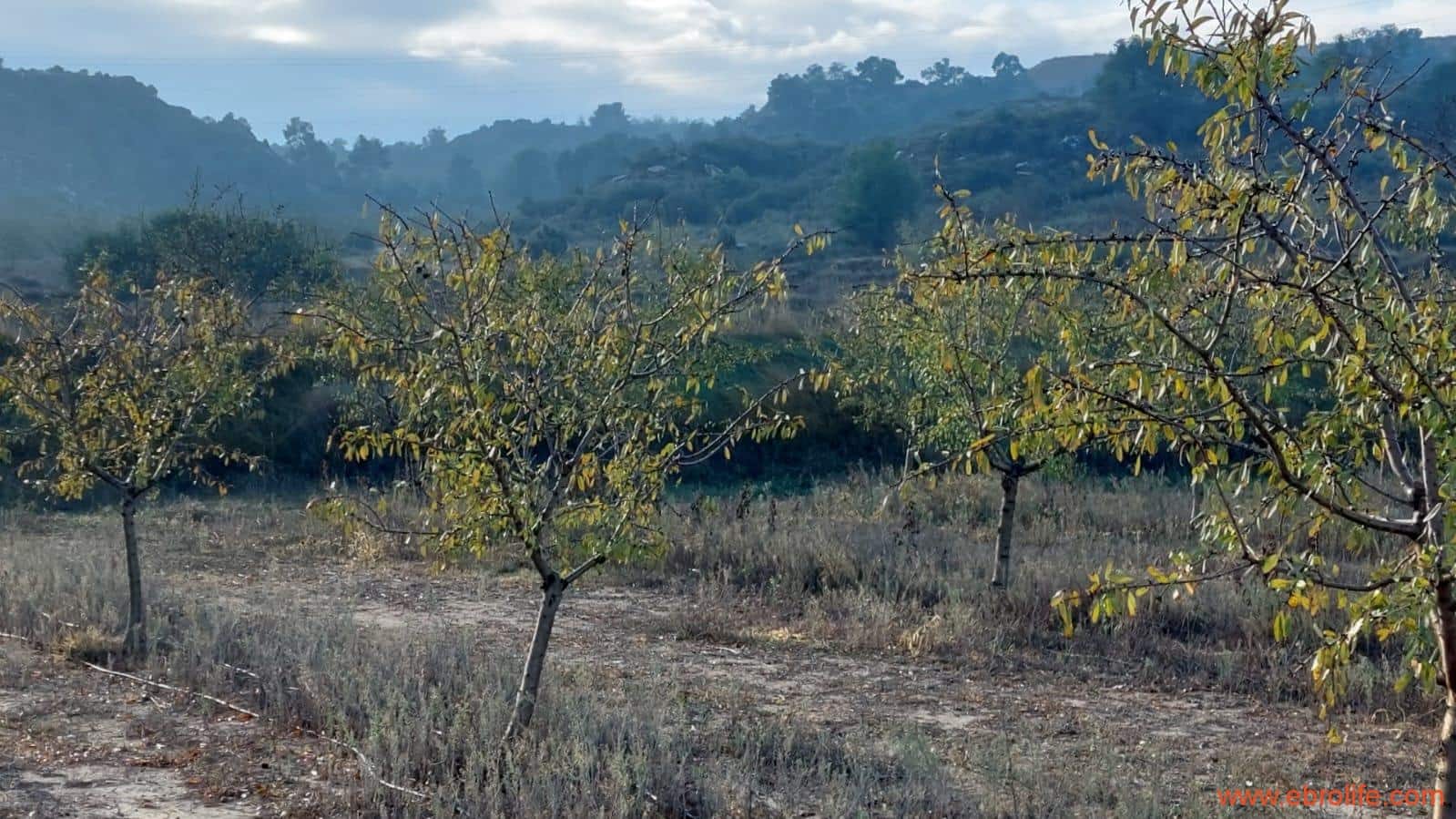 1 bedroom Finca/Country House for sale in Caspe - € 90,000 (Ref: 7973225)