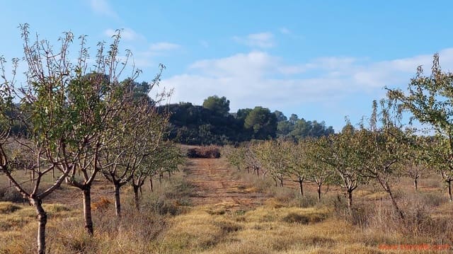 1 bedroom Finca/Country House for sale in Caspe - € 90,000 (Ref: 7973225)