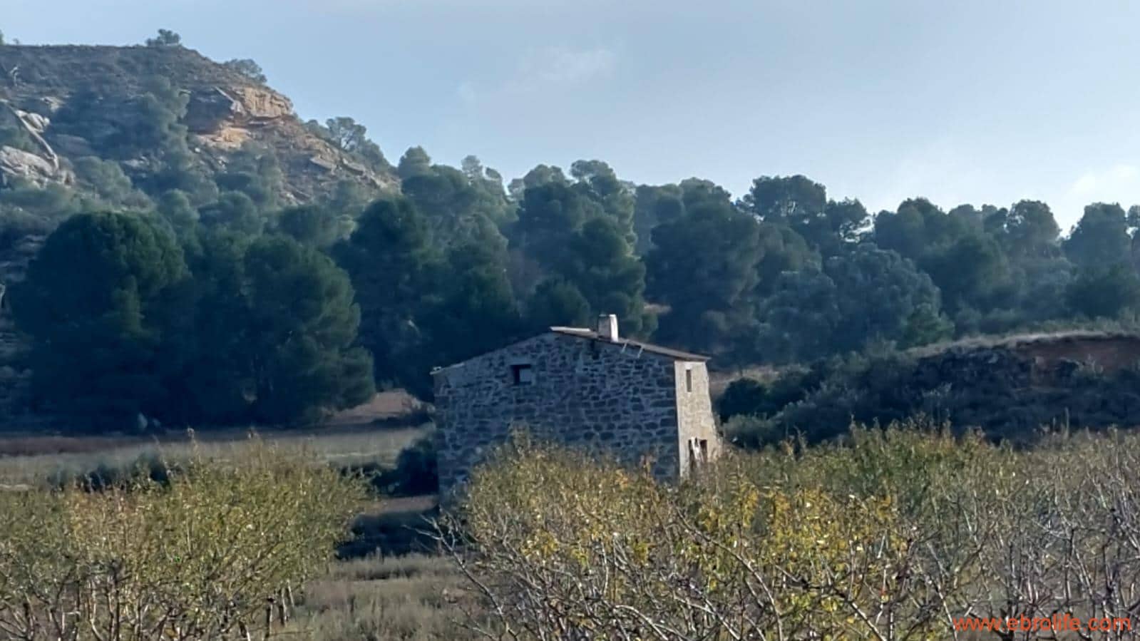 1 bedroom Finca/Country House for sale in Caspe - € 90,000 (Ref: 7973225)