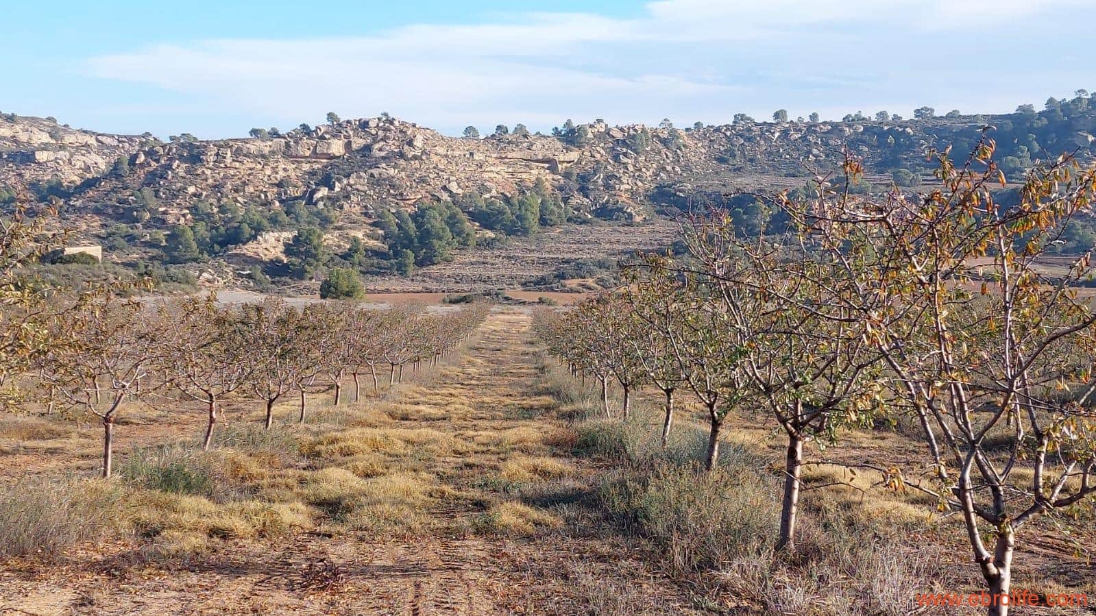 1 bedroom Finca/Country House for sale in Caspe - € 90,000 (Ref: 7973225)