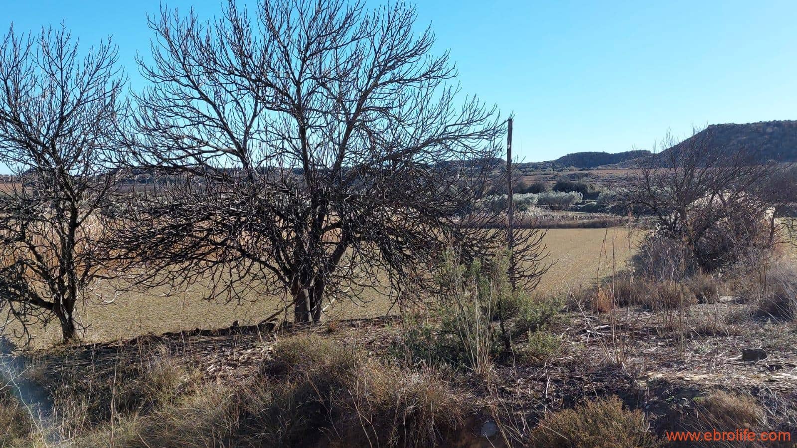 5 soveværelse Finca/Landehus til salg i Caspe - € 180.000 (Ref: 8069876)