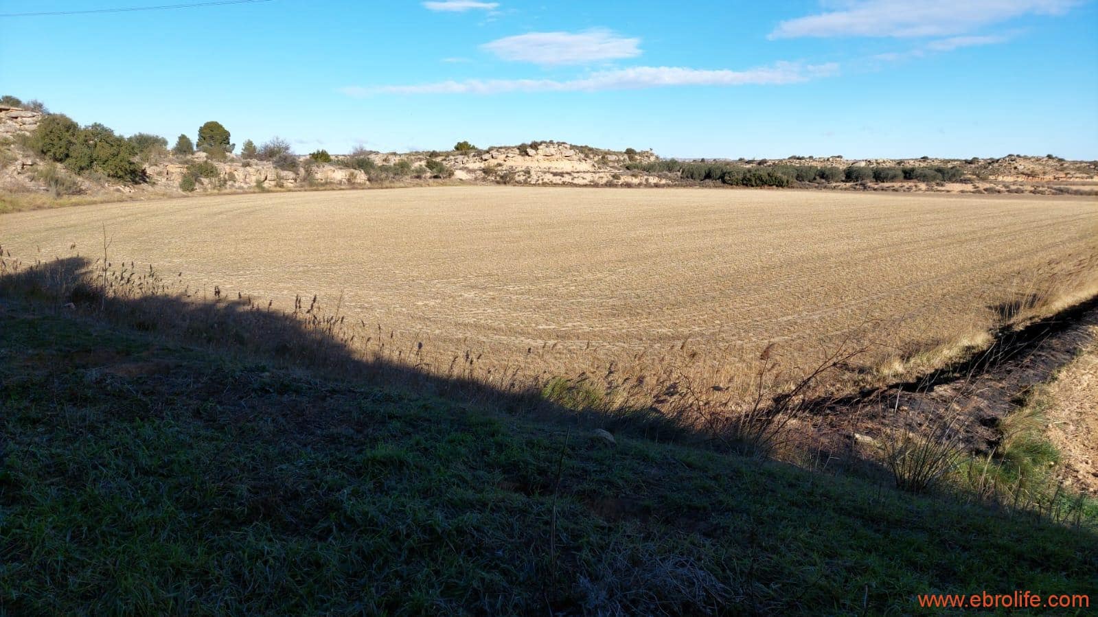 5 soveværelse Finca/Landehus til salg i Caspe - € 180.000 (Ref: 8069876)