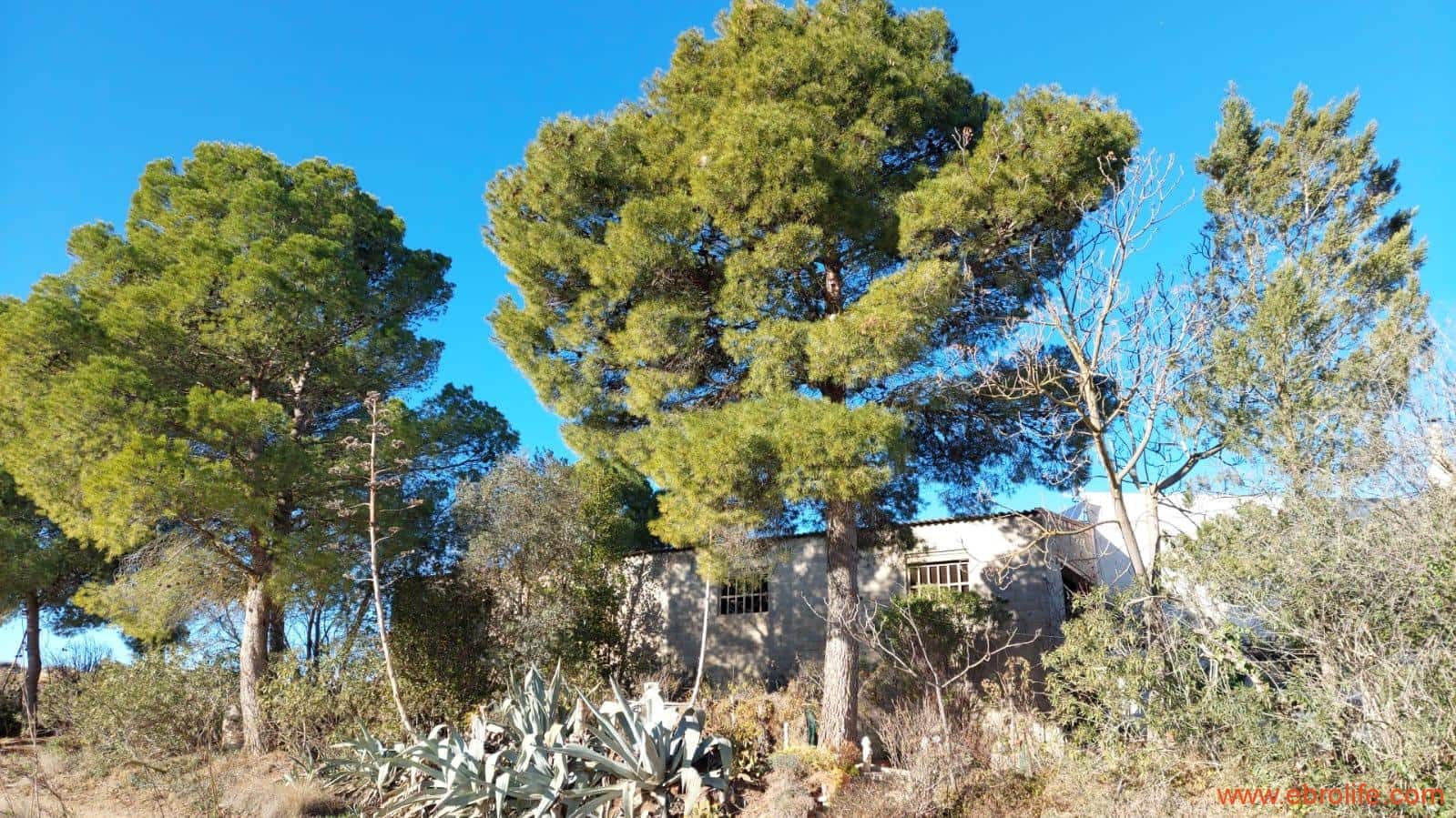 5 soveværelse Finca/Landehus til salg i Caspe - € 180.000 (Ref: 8069876)