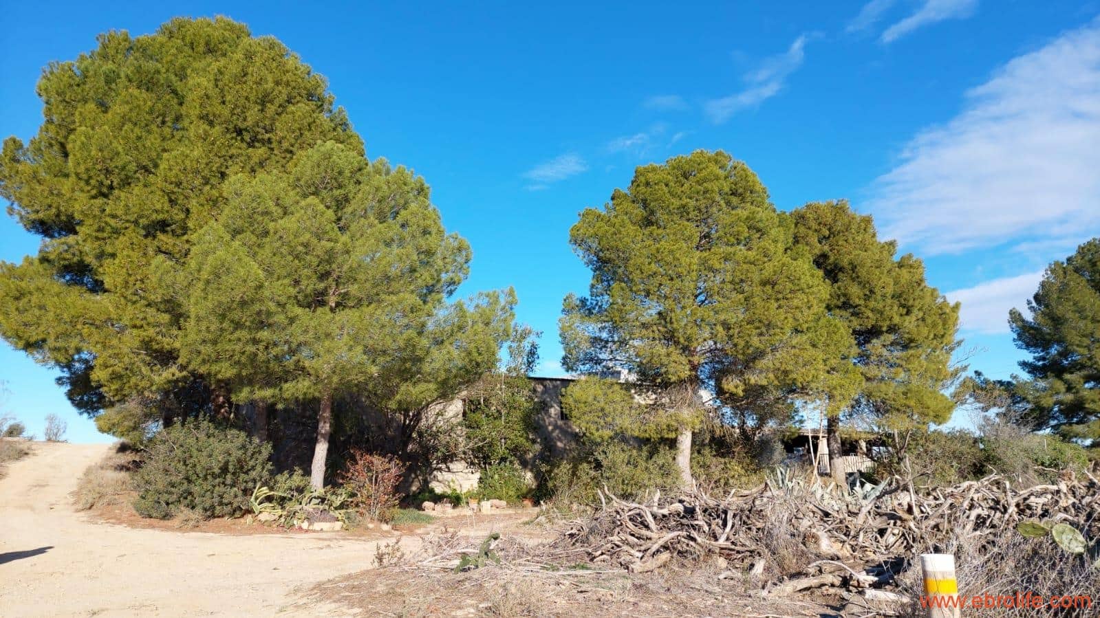 5 soveværelse Finca/Landehus til salg i Caspe - € 180.000 (Ref: 8069876)