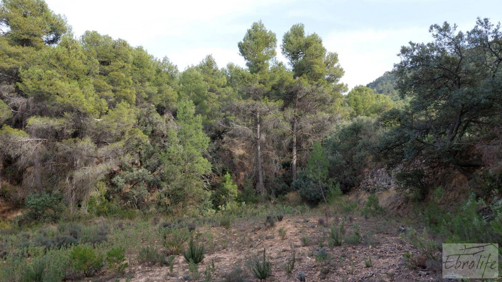 Finca/Landhuis te koop in Valderrobres - € 45.000 (Ref: 8190206)