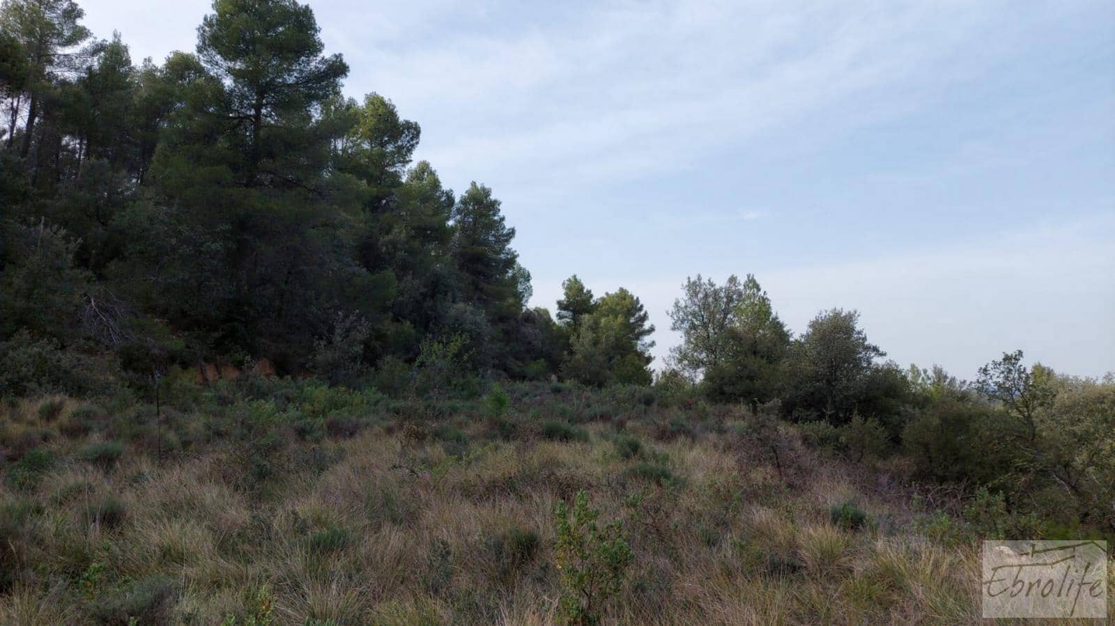 Finca/Landhuis te koop in Valderrobres - € 45.000 (Ref: 8190206)